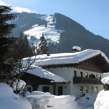 In Salzburgerland Near The Area