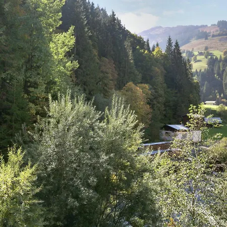 In Salzburgerland Near The Area Viehhofen