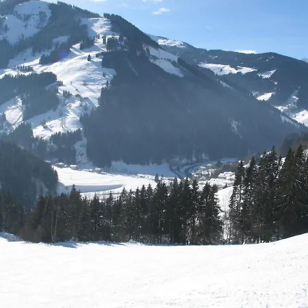 Apartment In Salzburgerland Near The Area